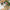 Decorative Christmas scene with a tree, ornaments, and a 'Merry' sign on a wooden surface.