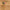 Decorative Christmas flag with 'Merry' text on a wooden background