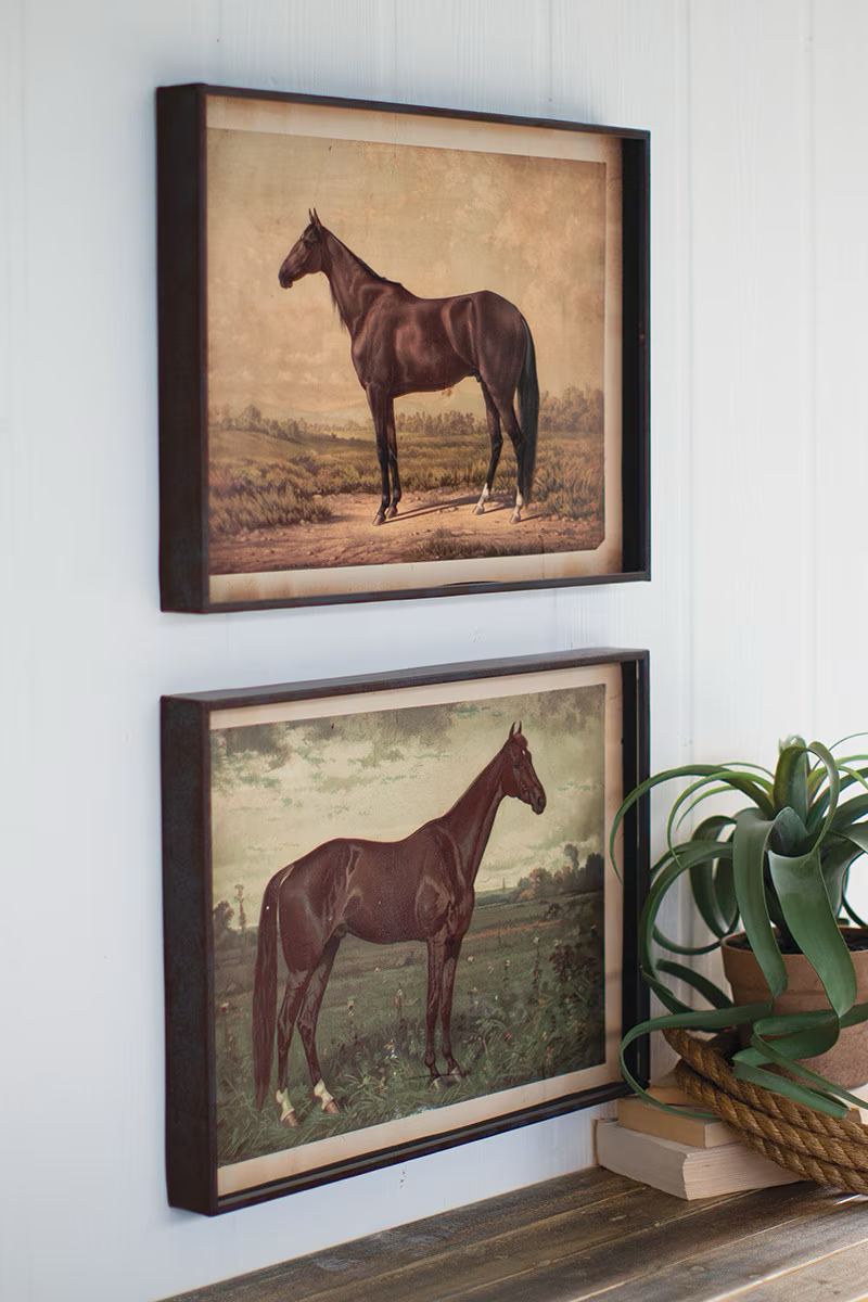 Two framed horse prints on a wall with a plant below.