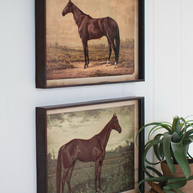 Two framed horse prints on a wall with a plant below.
