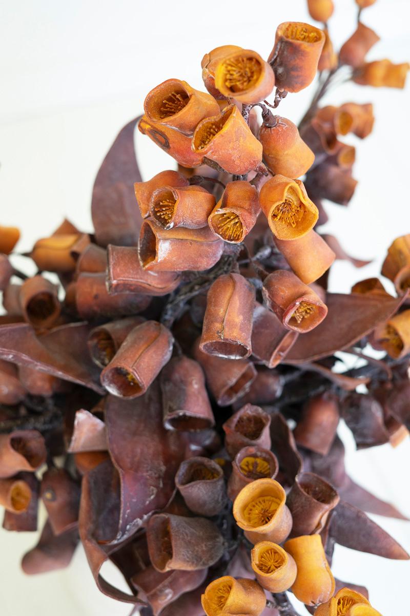 Botanica #2775