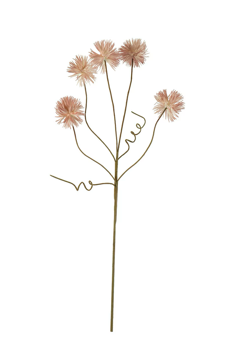 Botanica #2375
