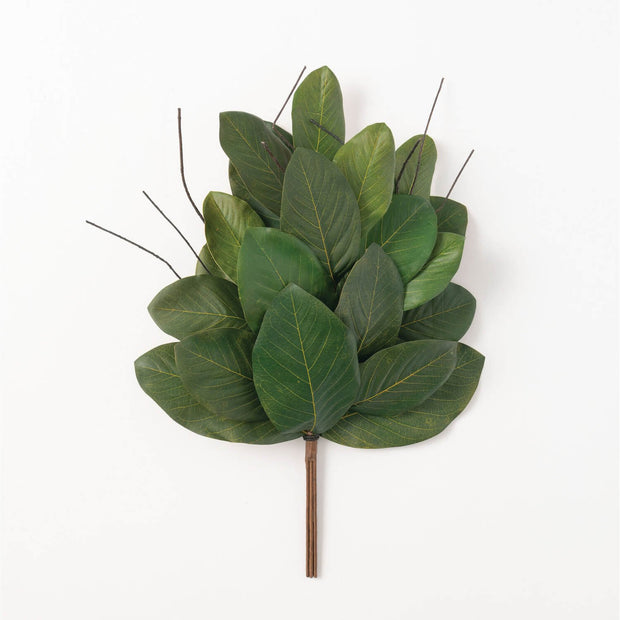 Magnolia Leaf 12" Sprig