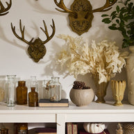 Oakdale Antler Wall Mounts, 2 sizes